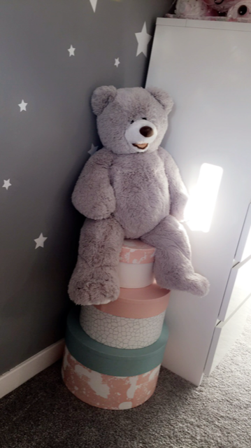 francesca memory boxes and teddy