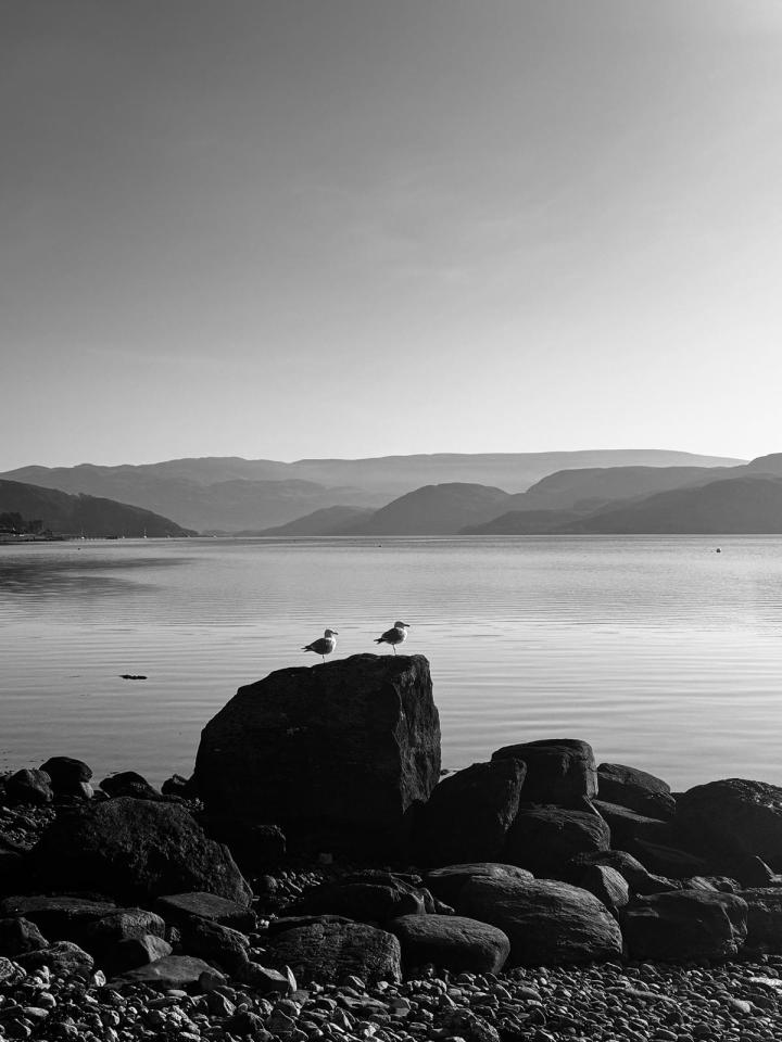 Probably Needed a Hug…&nbsp;❤️